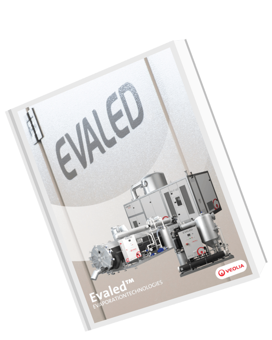 Untitled design (97)